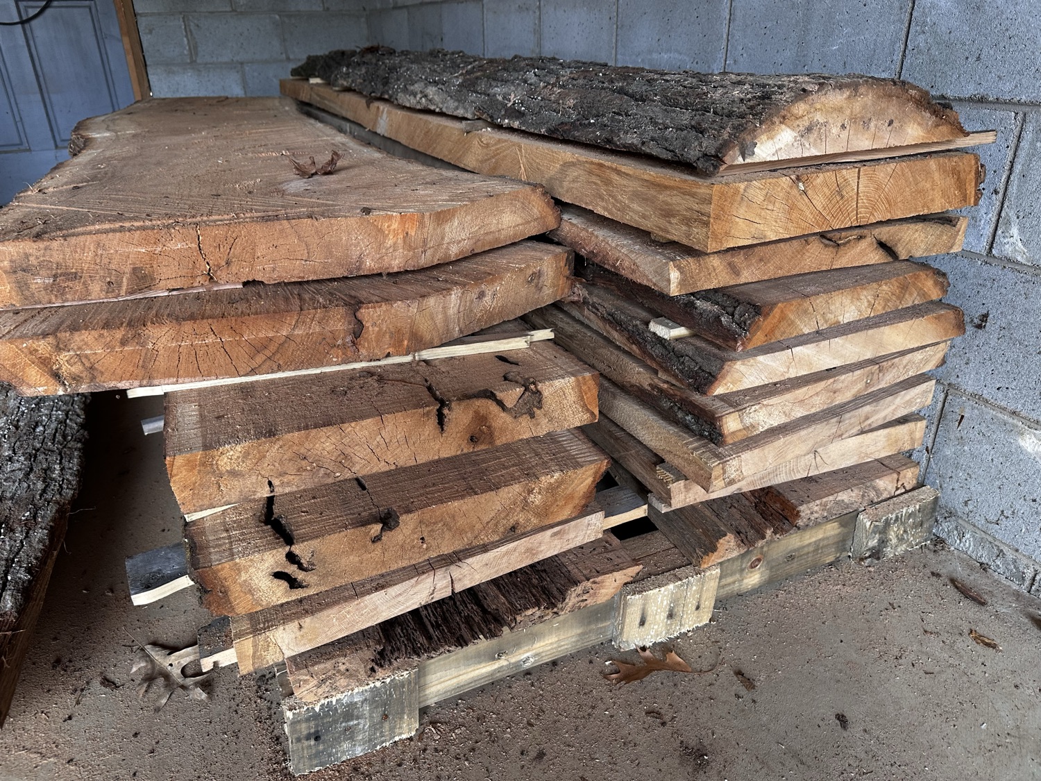 Live-edge slabs stacked for drying